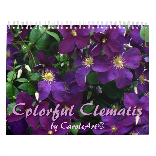 Calendrier Mural Clématite colorée 2013 de Z (Protection)