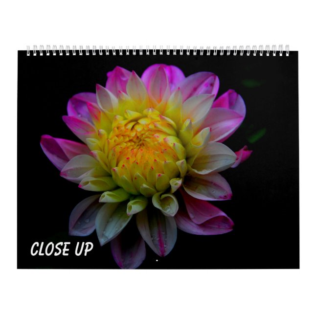 Calendrier Mural Close up (Protection)