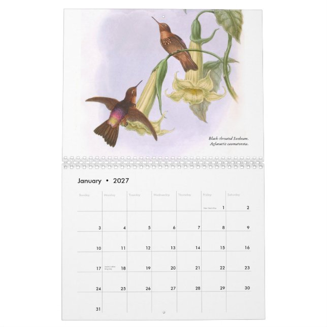 Calendrier Mural Colibris 2015 de John Gould (Jan 2027)