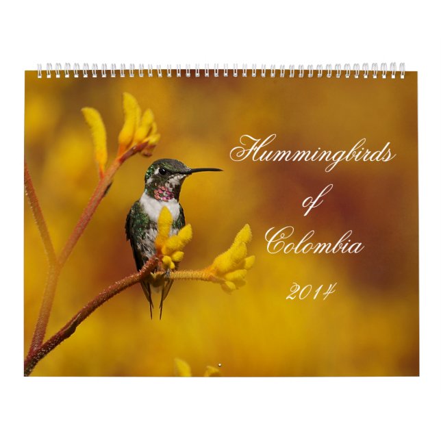 Calendrier Mural Colibris de la Colombie (Protection)