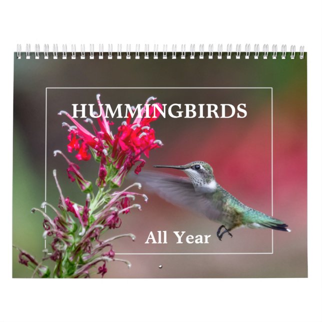 Calendrier Mural Colibris toute l'année (Protection)