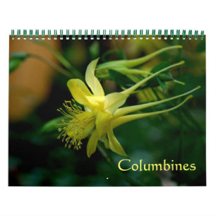 Calendrier Mural Colonnes