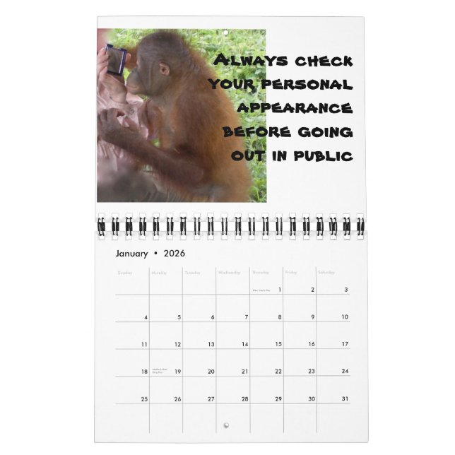 Calendrier Mural Conseil Romance Véritable Amour (Jan 2026)