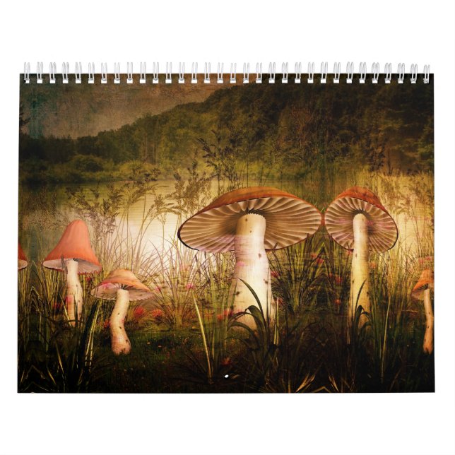Calendrier Mural Contact de Calendrier-Un de magie (Protection)