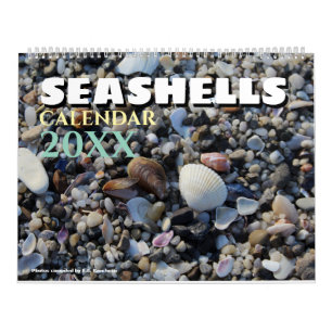 Calendrier mural Coquillages 2026 Cadeau de coquil