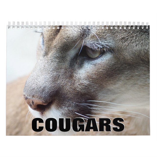 Calendrier mural Cougars (Protection)
