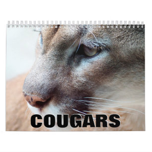 Calendrier mural Cougars