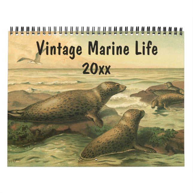 Calendrier Mural Créatures marines vintages et faune marine (Protection)