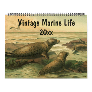 Calendrier Mural Créatures marines vintages et faune marine