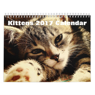 Calendrier Mural Cute Kittens 2017