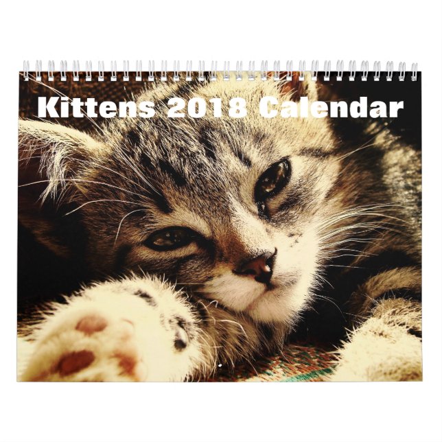 Calendrier Mural Cute Kittens 2018 (Protection)