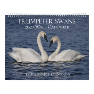 Calendrier mural Cygne trompette