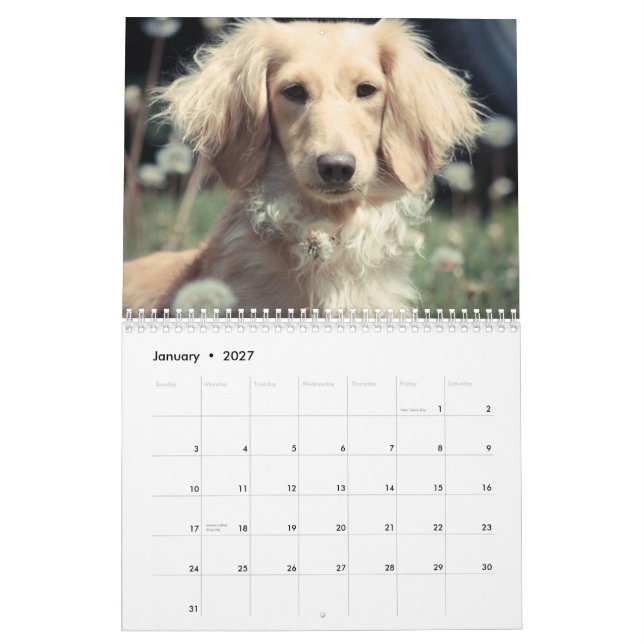 Calendrier Mural Dachshunds 2015 (Jan 2027)
