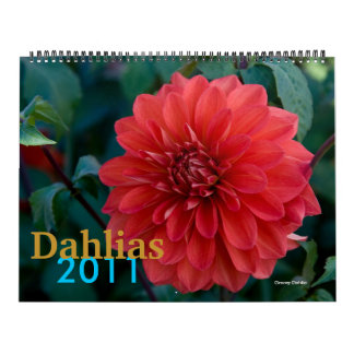 Calendrier Mural Dahlias