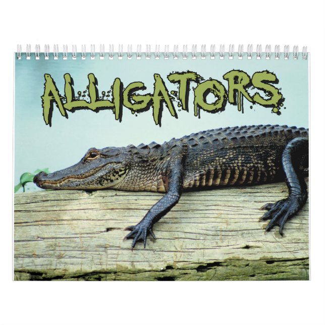 Calendrier mural d'alligators (Protection)