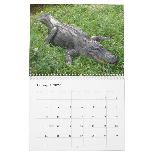 Calendrier mural d'alligators (Jan 2027)