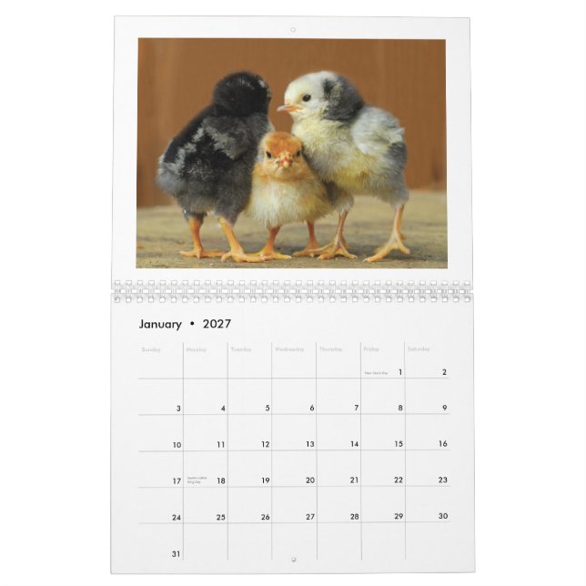 Calendrier mural de 2015 poulets (Jan 2027)