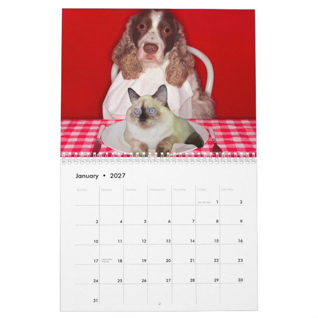 Calendrier mural de broyeur de chat (Jan 2027)