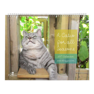 Calendrier mural de chat 2017