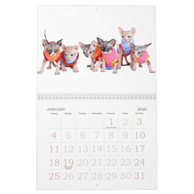 Calendrier mural de chats de Sphynx | GoSphynx.com (Jan 2026)