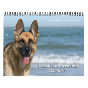 Calendrier mural de chien de berger allemand