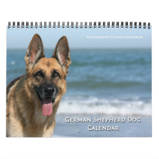 Calendrier mural de chien de berger allemand