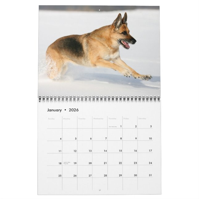 Calendrier mural de chien de berger allemand (Jan 2026)