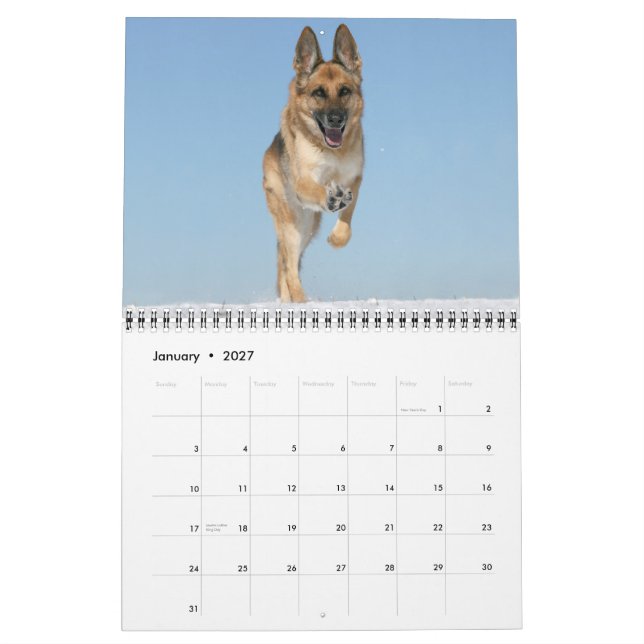 Calendrier mural de chien de berger allemand (Jan 2027)