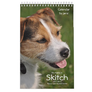 Calendrier mural de chien de Russell Terrier de