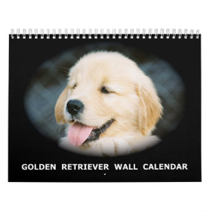 Calendrier mural de chiot de golden retriever