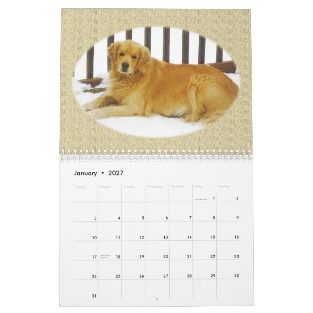 Calendrier mural de chiot de golden retriever (Jan 2027)