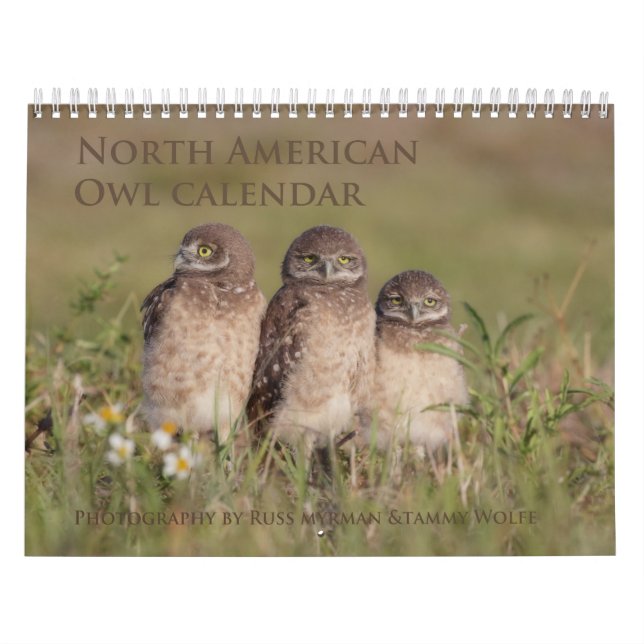 Calendrier mural de hibou de 2017 Nord-américains (Protection)