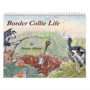 Calendrier mural de la vie de border collie