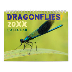 Calendrier mural de libellules dans la nature Mign