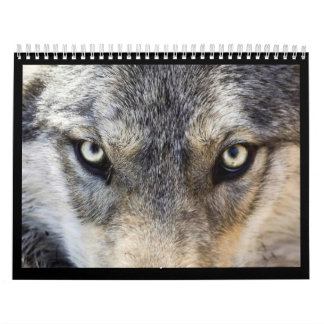 Calendrier mural de loup