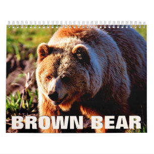 Calendrier mural de l'ours Brown 2022
