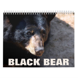 Calendrier mural de l'ours noir 2022
