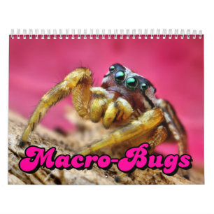 Calendrier mural de Macro-Insectes