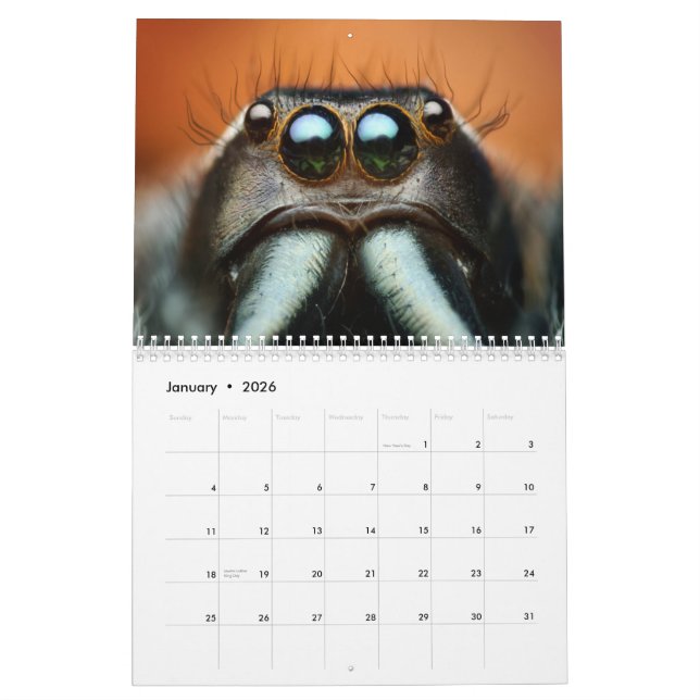Calendrier mural de Macro-Insectes (Jan 2026)