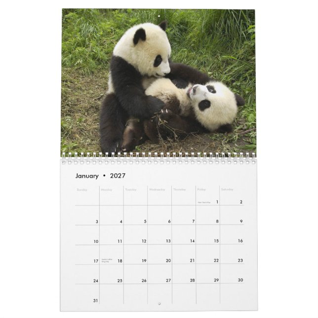 Calendrier mural de pandas (Jan 2027)