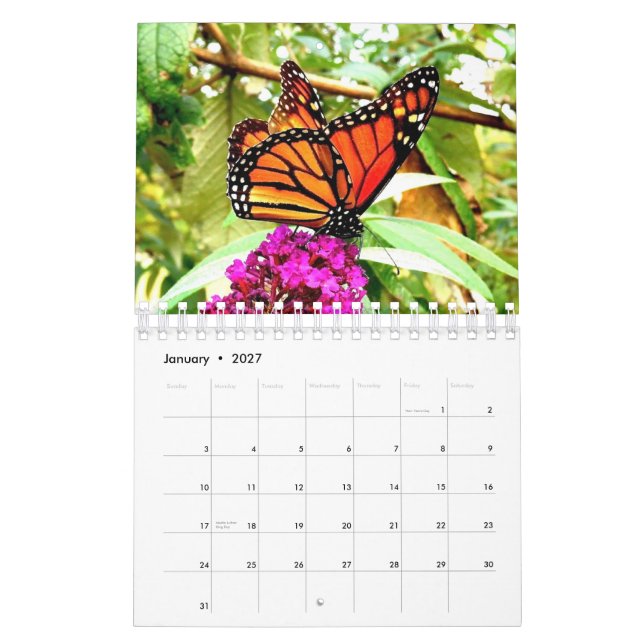 Calendrier mural de papillon de monarque (Jan 2027)