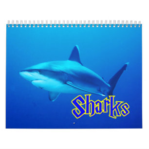 Calendrier mural de requins
