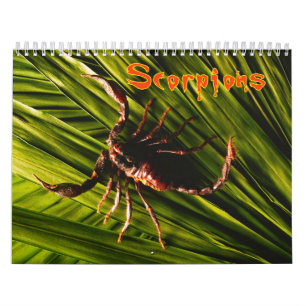Calendrier mural de scorpions