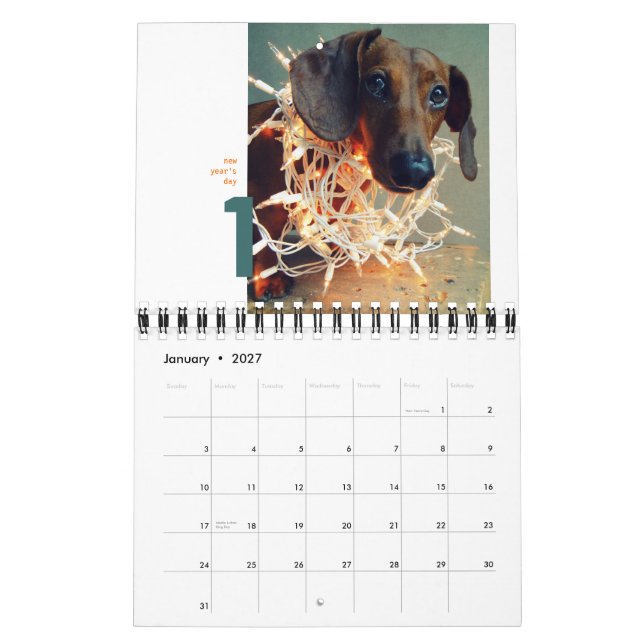 calendrier mural de teckel 2012 - chumley (Jan 2027)