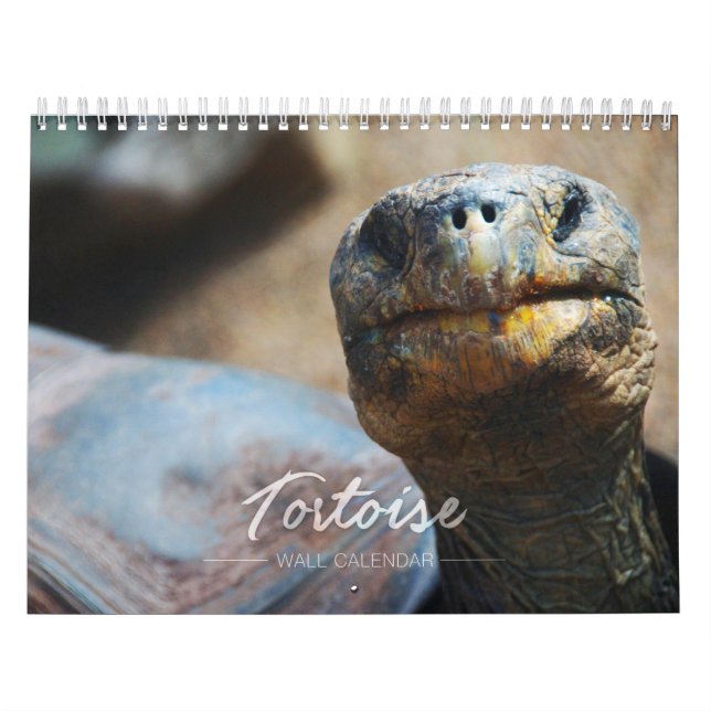 Calendrier mural de tortue (Protection)