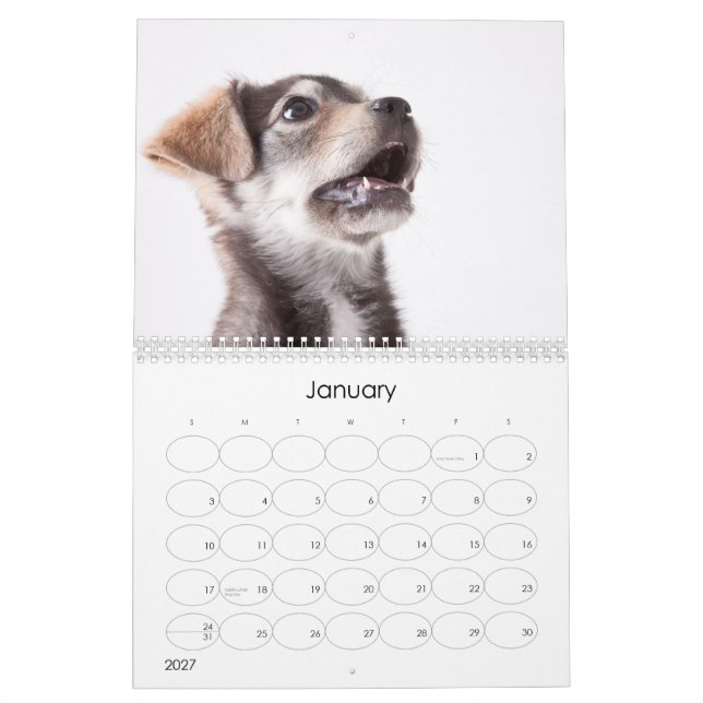 Calendrier mural des chiots 2012 d'abri (Jan 2027)