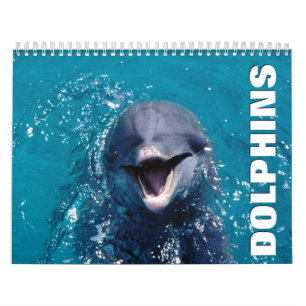 Calendrier mural des dauphins 2022