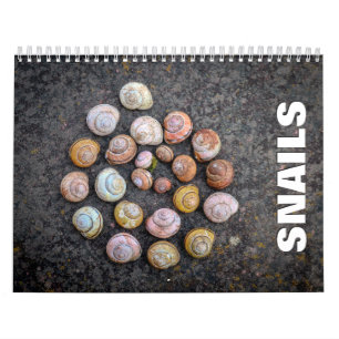 Calendrier mural des escargots