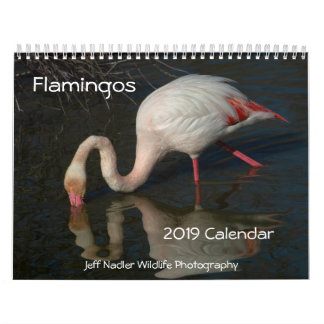 Calendrier mural des Flamants roses 2019