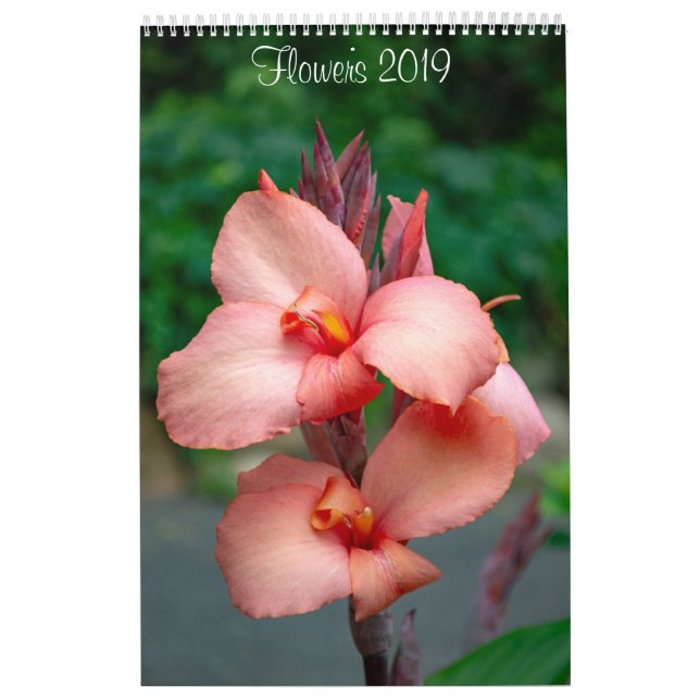 Calendrier mural des fleurs 2019 par Lisa Blake (Protection)